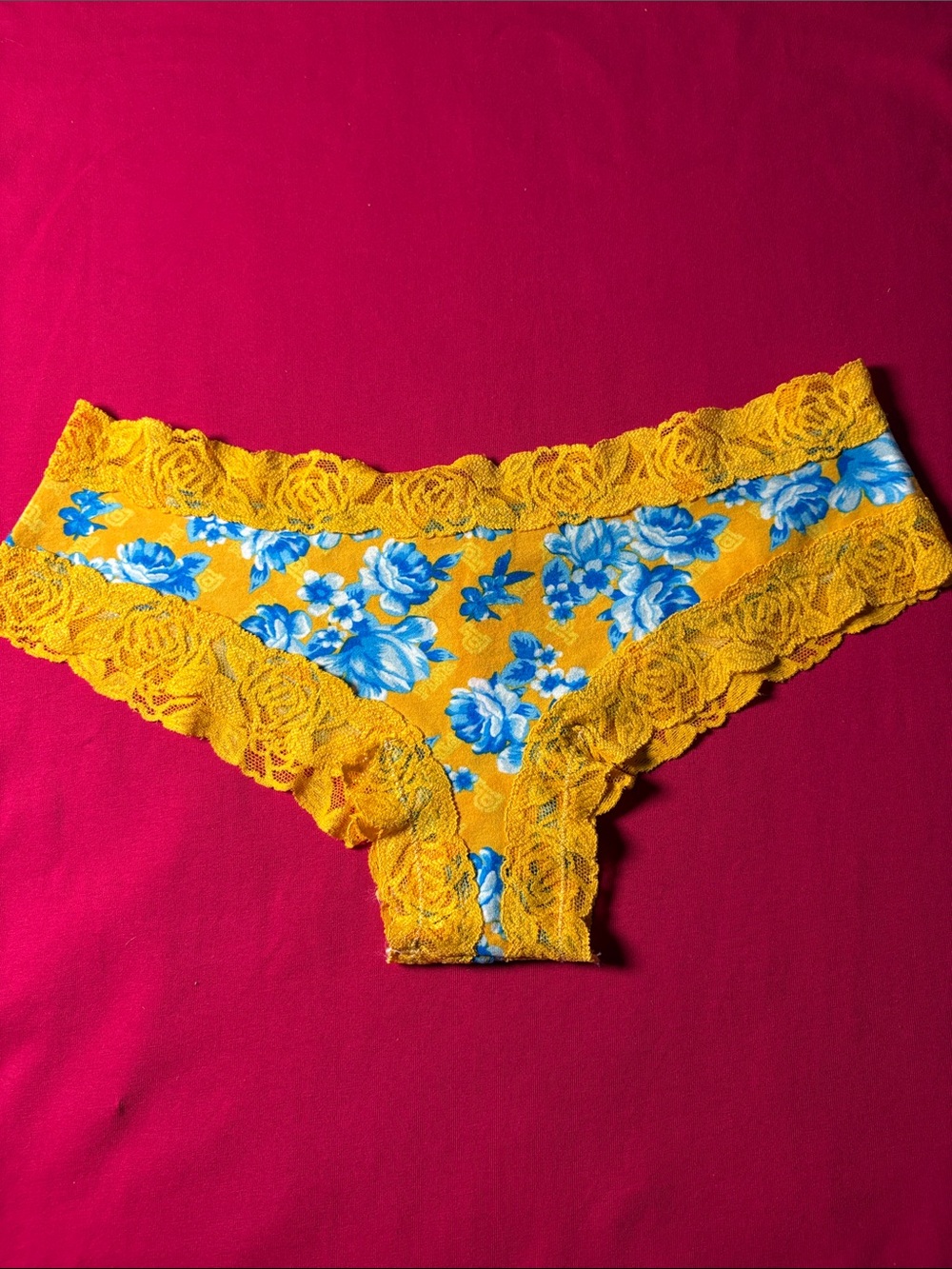 Victoria's Secret Yellow Floral Lace Hipster Panty